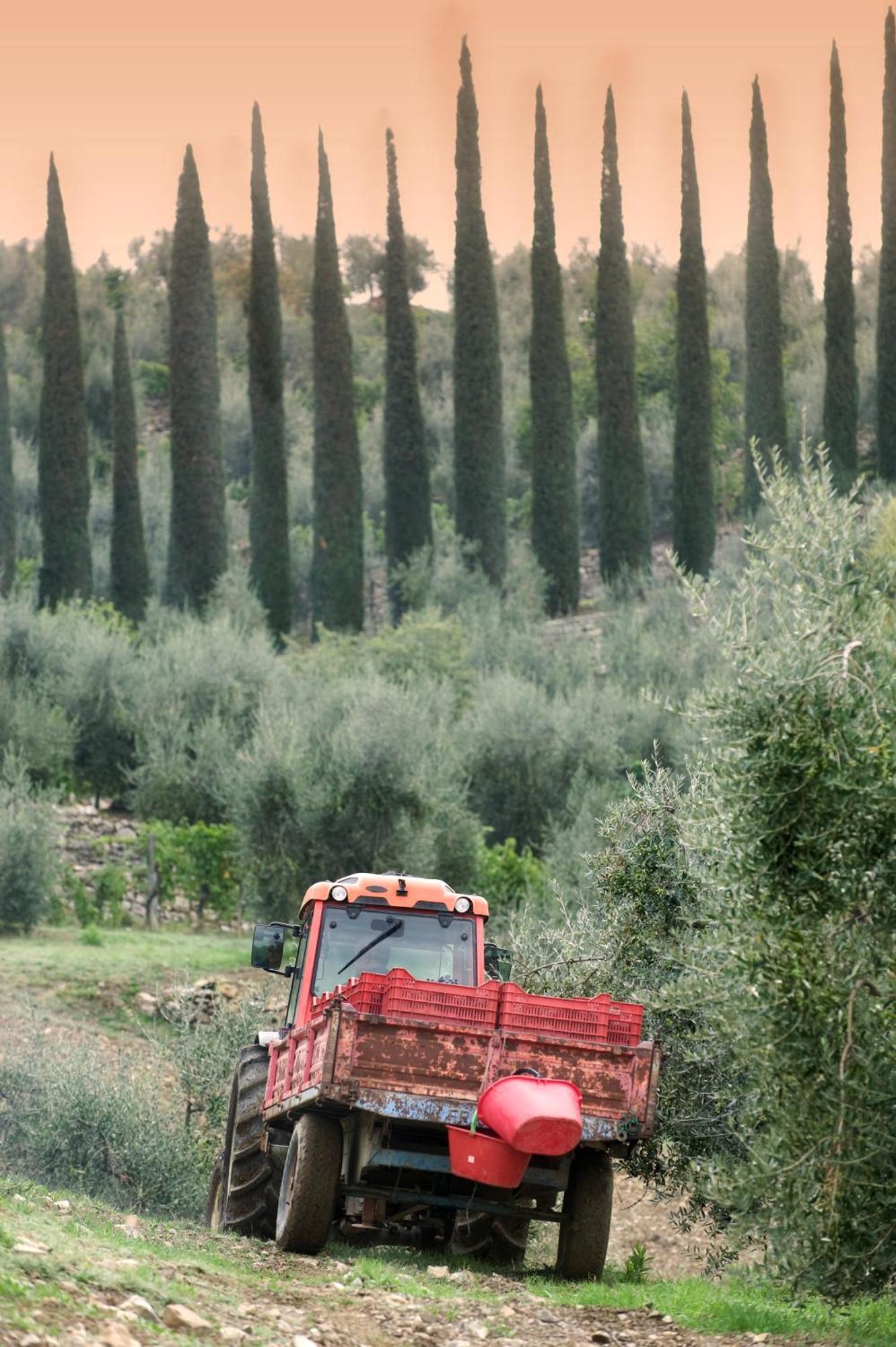La Valletta Boutique Wine Estate Panzano in Chianti Eksteriør bilde